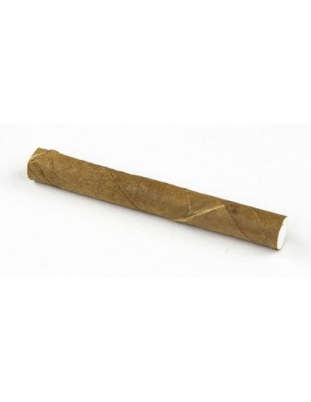 سیگار برگ (سیگاریلو) آلکاپون Al Capone Green (بسته 10 نخی)