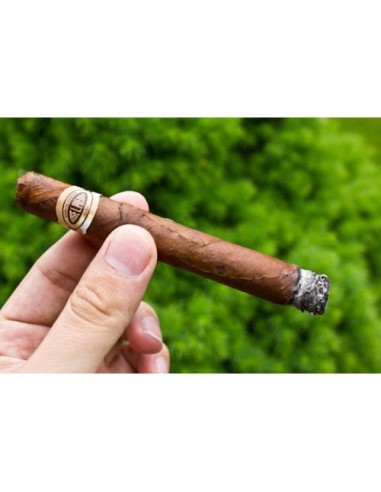 سیگار برگ Jose L. Piedra Brevas