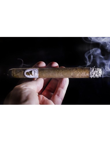 سیگار برگ دیویدف Davidoff Winston Churchill...