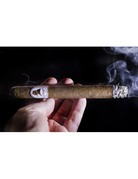 سیگار برگ دیویدف Davidoff Winston Churchill Churchill (تک نخ)