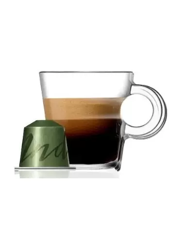 خرید کپسول قهوه نسپرسو مدل اصل هندی Nespresso Master origin India 100g