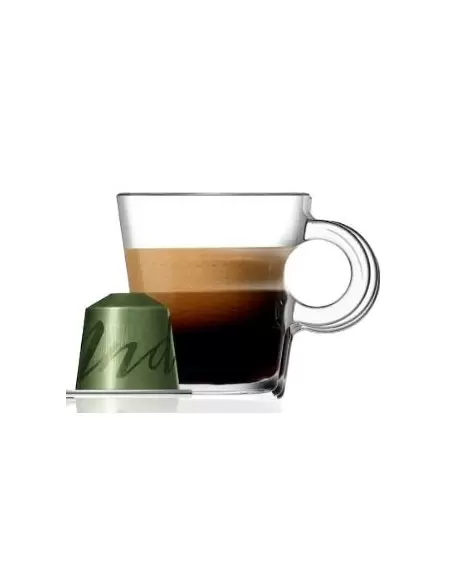 خرید کپسول قهوه نسپرسو مدل اصل هندی Nespresso Master origin India 100g