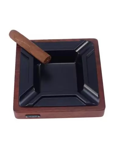 زیرسیگاری برگ SN-ASJI-2101-40