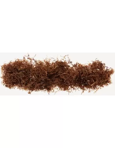 قیمت خرید توتون سیگارپیچ توتون سیگارپیچ مک بارن Mac Baren Halfzware