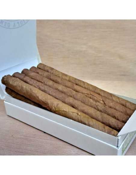 سیگار برگ رومئو جولیتا مینی (سیگاریلو) 10 - Romeo y Julieta Mini 10 نخی